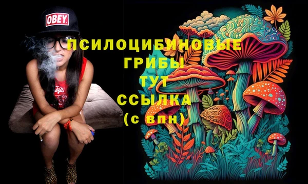 сатива Богданович