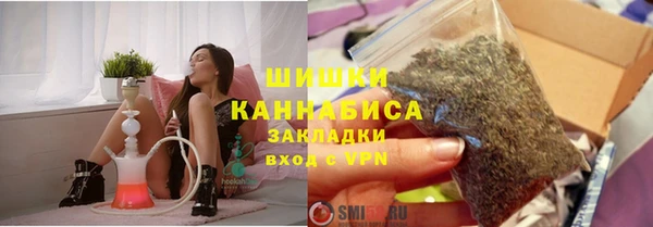 сатива Богданович