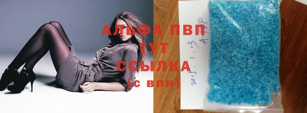 сатива Богданович