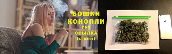 сатива Богданович
