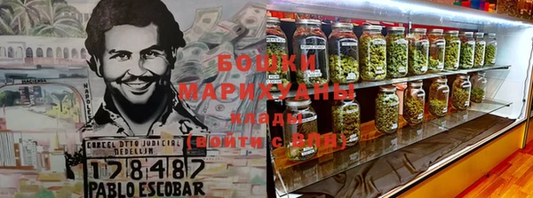 сатива Богданович