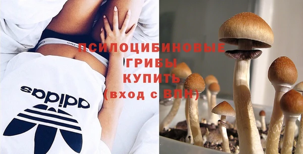 сатива Богородск
