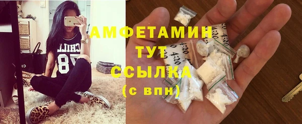 сатива Богданович