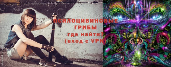 сатива Богданович